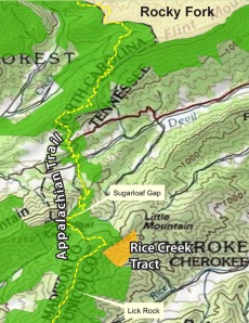 The Rice Creek tract is located 500 ft. from the AT and adjacent to the Cherokee National Forest.