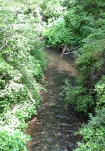 The conservation easements also protect 2,170 linear feet of Ashworth Creek and frontage along the NC Scenic Drovers Road Byway.