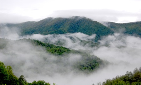 Mist rising in the Rocky Fork watershed.